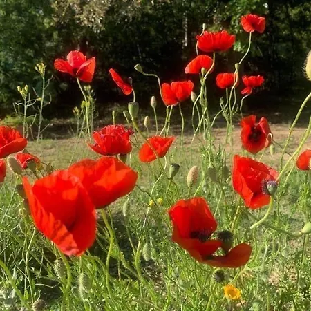 Σπίτι διακοπών La Maison Du Jardin De Piscine, Calme Et Nature Gassin
